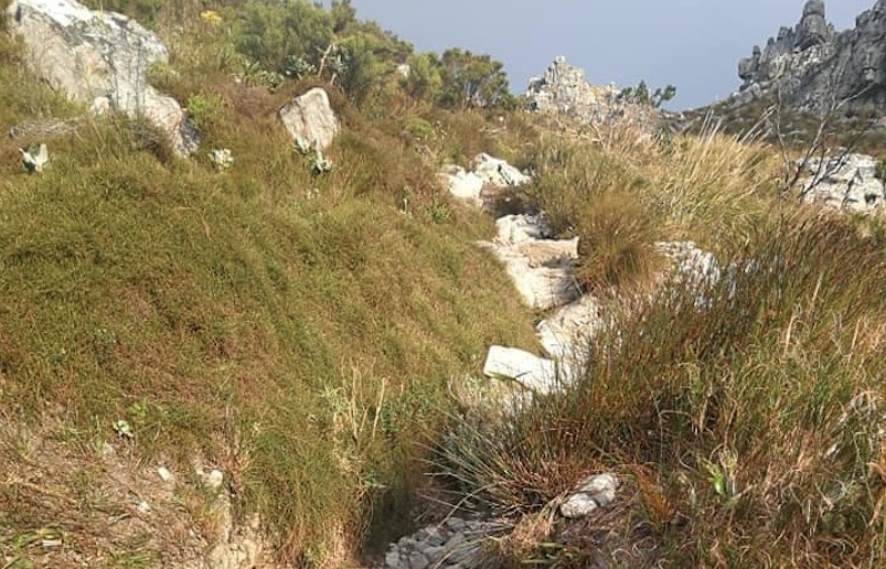 New project to revamp Corridor ravine on Table Mountain
