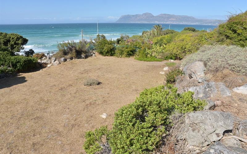 Alien plant clearing at the Battle of Muizenberg to protect fynbos
