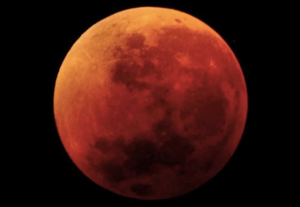 Pictures: howling at last night's bloody gorgeous moon