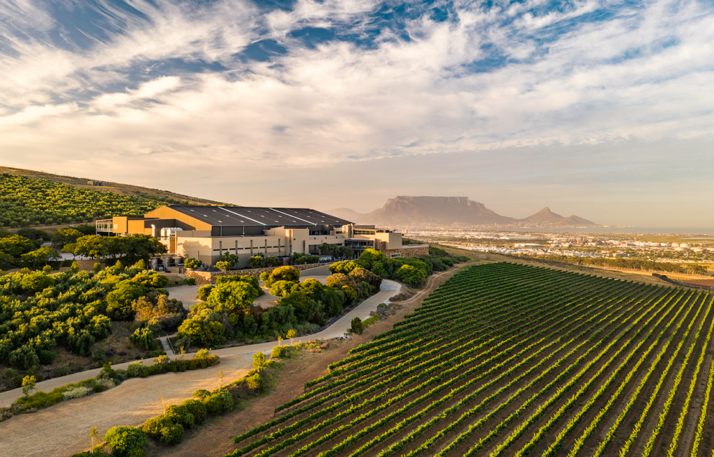 Winter Wander at Durbanville Hills: A globe-trotting experience not to be missed!