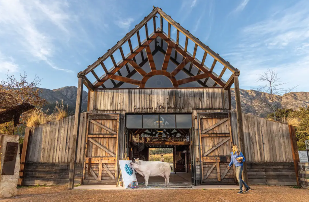 Pigcasso's barn, Franschhoek, needs to go on your winter stay bucket list