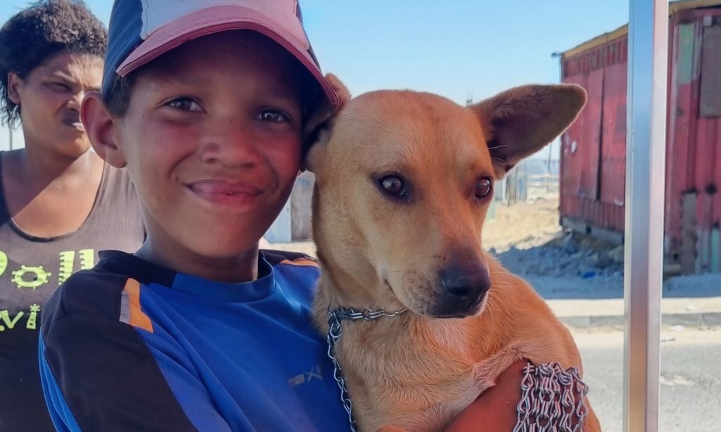 Animal clinics working together to curb pet overpopulation in townships