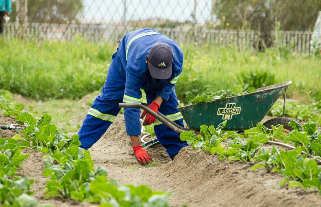 Western Cape may introduce new speed limits to protect agri-workers