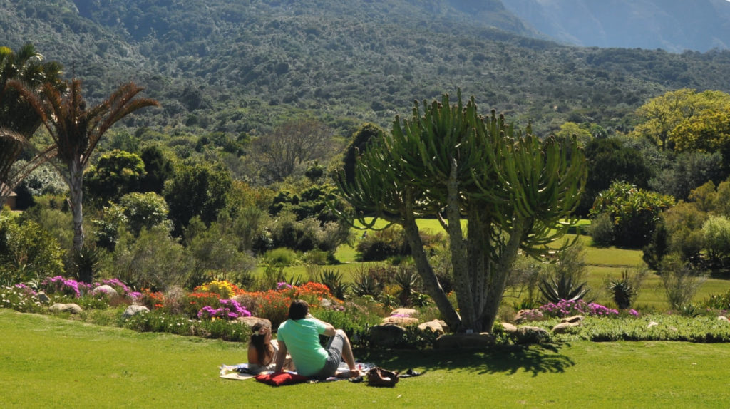 Things to do at Kirstenbosch this summer