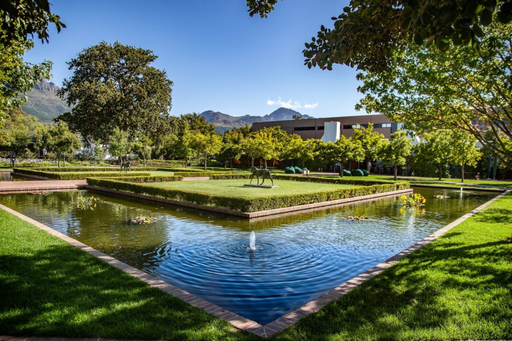 Lourensford Wine Estate: a family destination that offers more than just wine