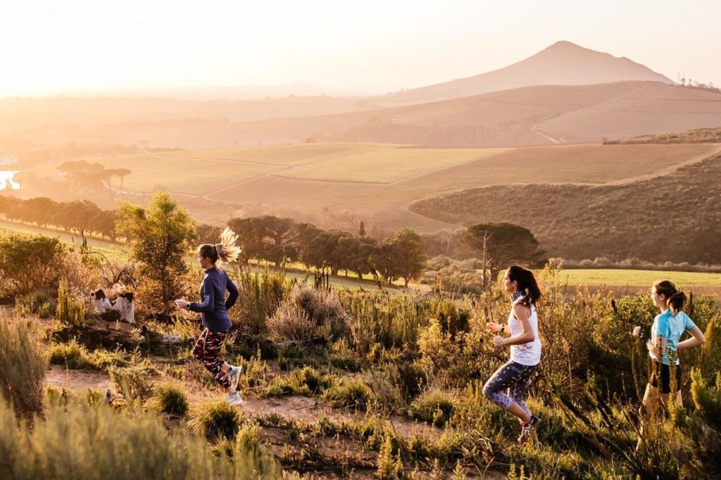 Enjoy the best of both worlds: 5 wine farms with hikes and tastings