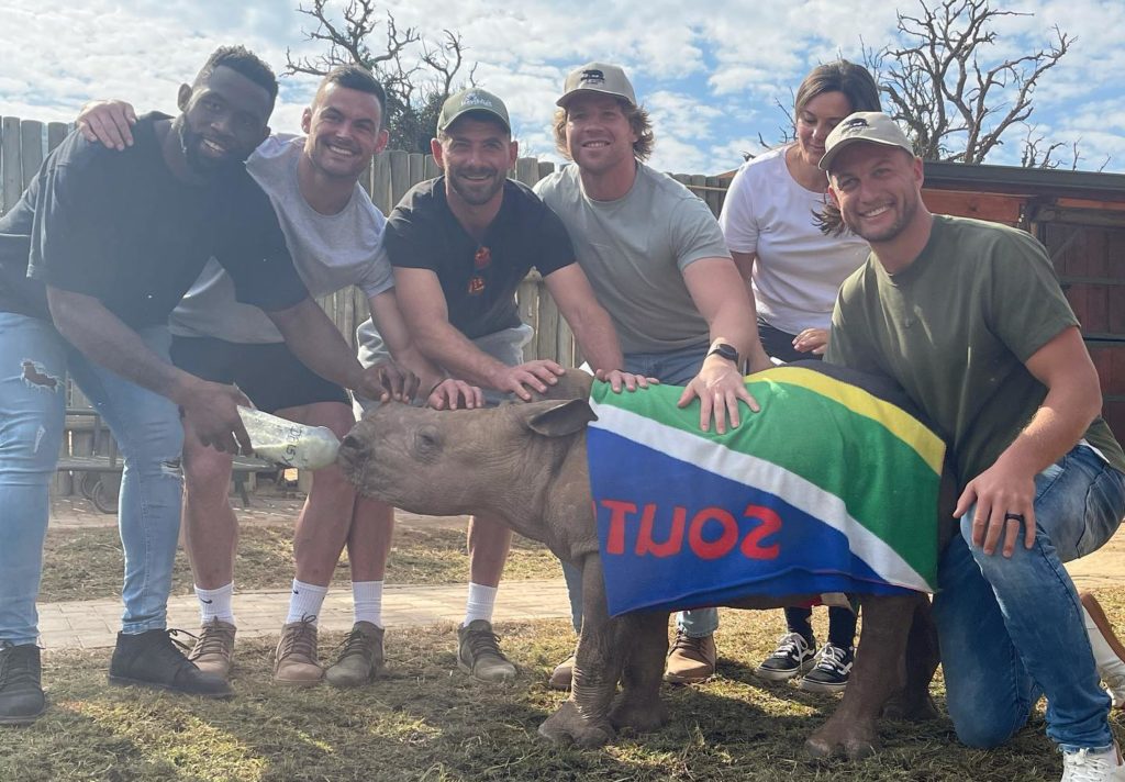 Springboks and All Blacks - foes on field, besties at baby rhino sanctuary