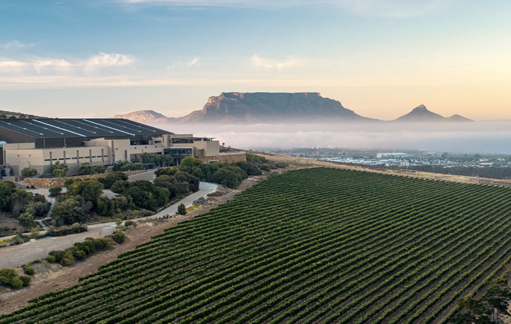 The best wine brand in Cape Town, voted by locals