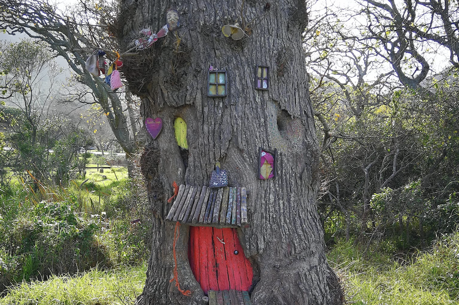 Have you seen the fairies at Noordhoek Common?