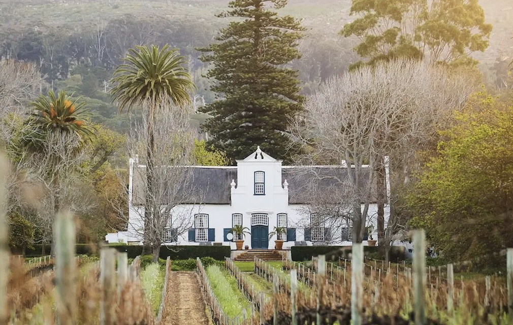 5 Cape wine farms worth travelling to for top fine dining experiences