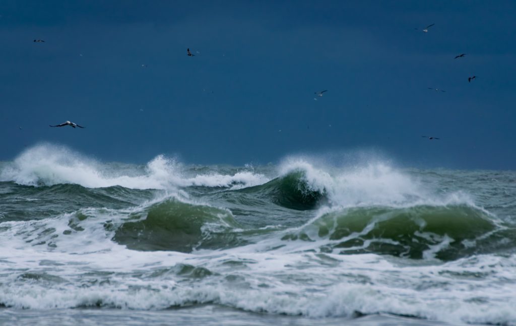 "Damaging waves and strong winds" expected to hit WC's coastline