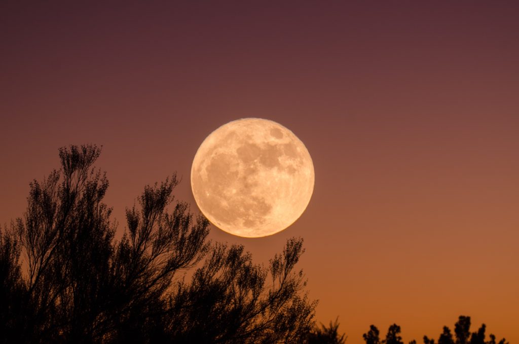 Don't miss it: South Africa will catch the last supermoon of 2022 this week