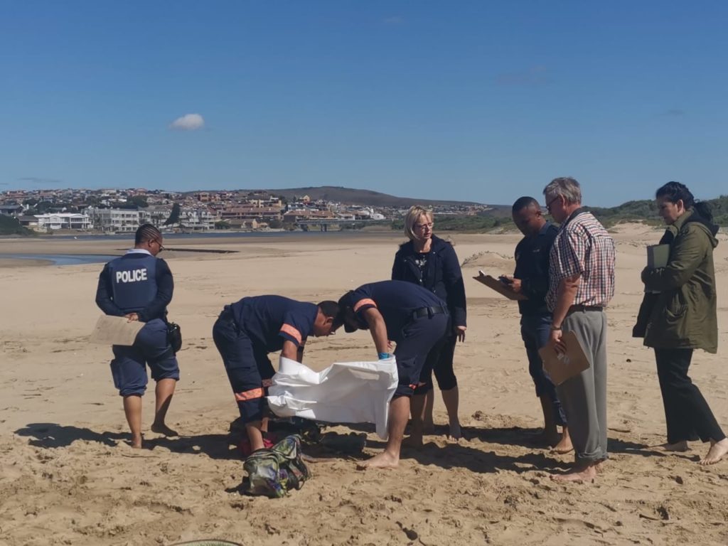 Body of a baby found in a cooler bag on the beach