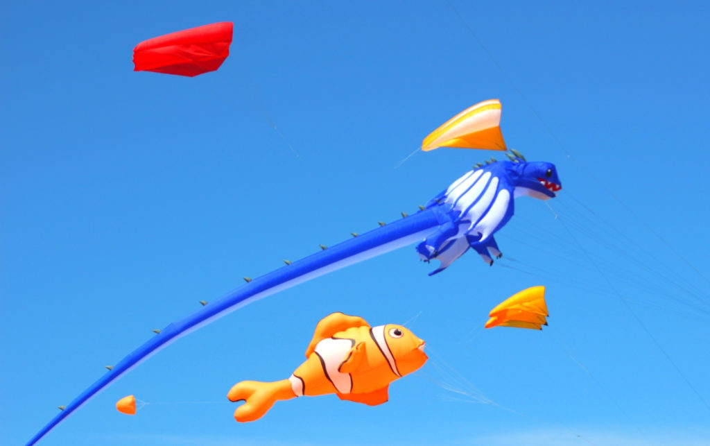 Skies the limit with the Cape Town International Kite Festival
