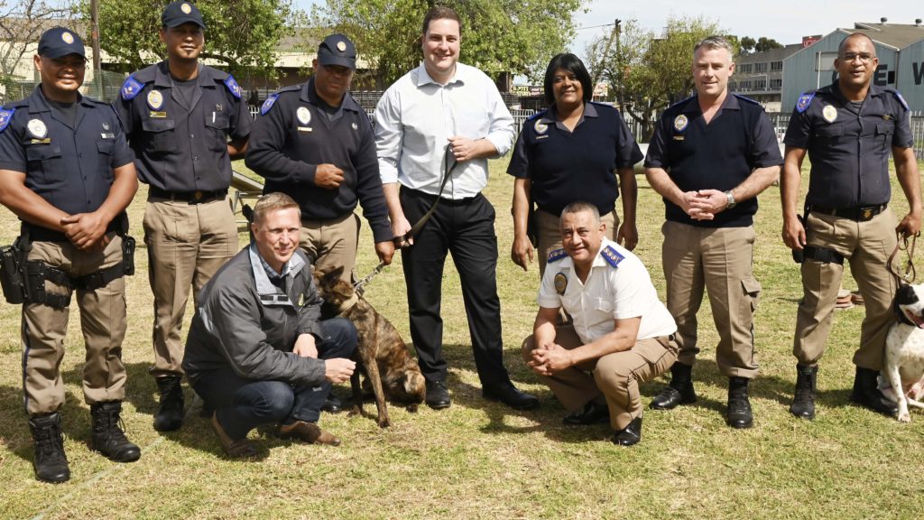 Paw and order: fighting crime with the City’s K9 Unit