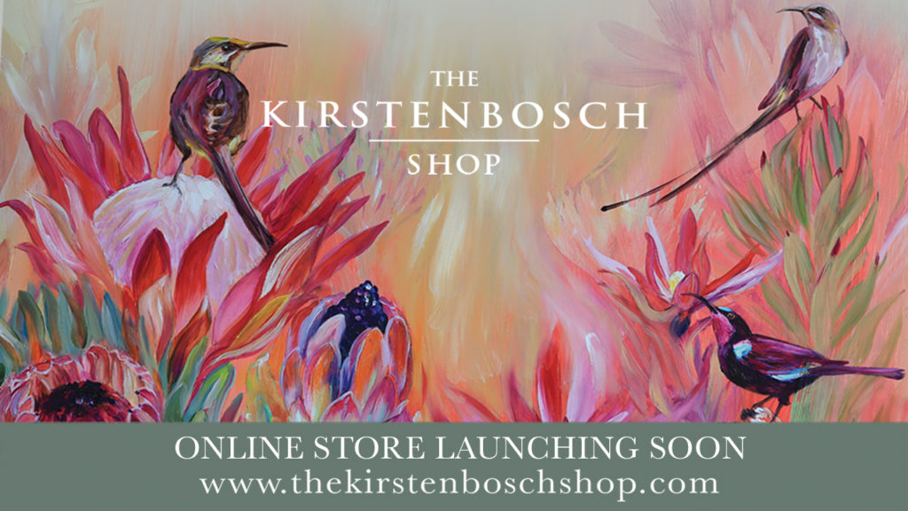 Head on over to the Kirstenbosch Gift Shop for some retail therapy