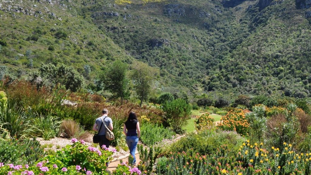A few things to do at Kirstenbosch this spring