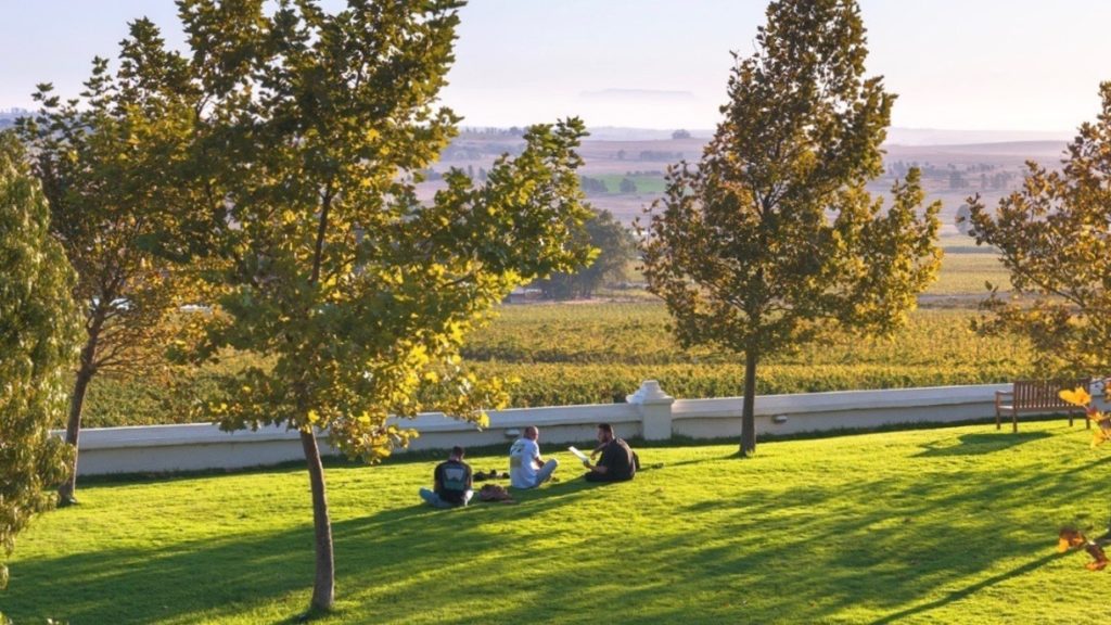 The best wine farm experience in Cape Town, voted by locals