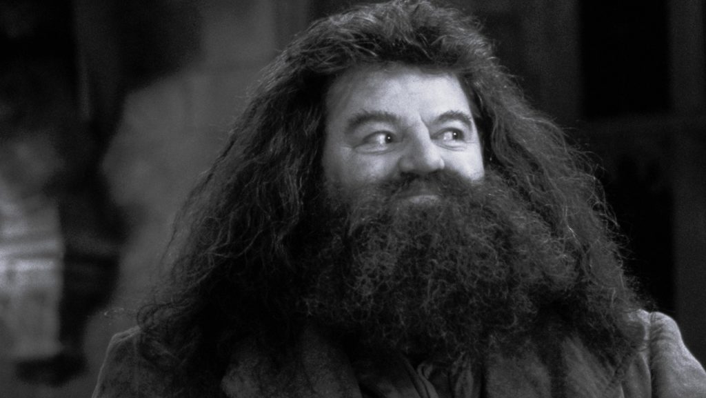 Harry Potter's keeper of the keys of Hogwart, Robbie Coltrane, dies