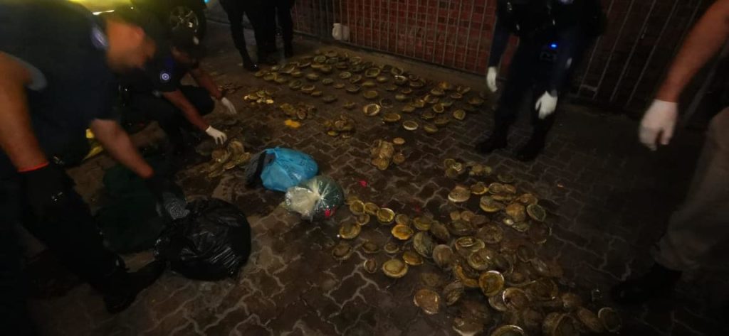 High speed chase through Cape Town ends in massive abalone bust