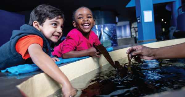 Two Oceans Aquarium children kelp 