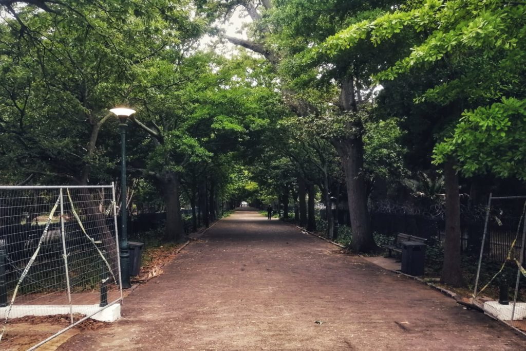 Historic walkway reopens at the Company Gardens