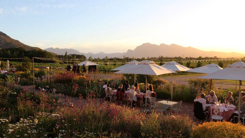 What's on at Avondale Wine Estate and FABER restaurant