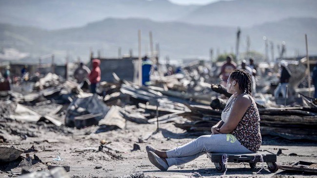 Masiphumelele fire animal disaster relief: here are ways you can help