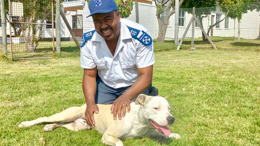 Cape of Good Hope SPCA arrests one dogfighter and rescues six dogs