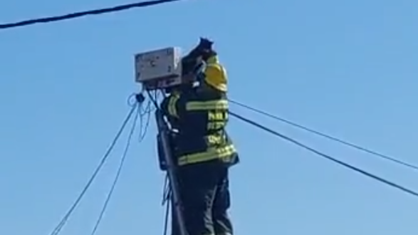 Watch! It happens in real life too, firefighter rescues a cat