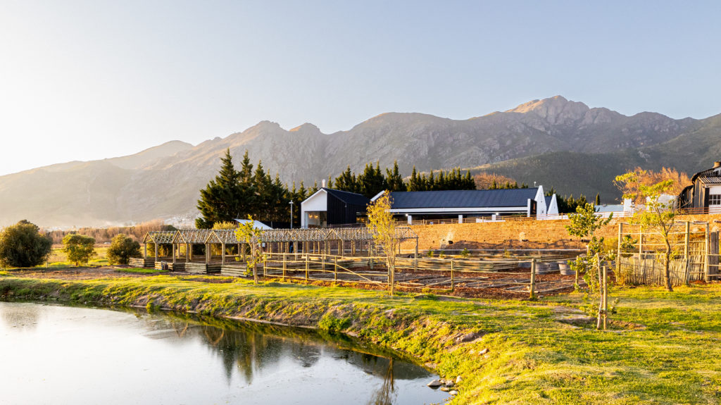 Unparalleled views and stupendous wines at Backsberg's new home