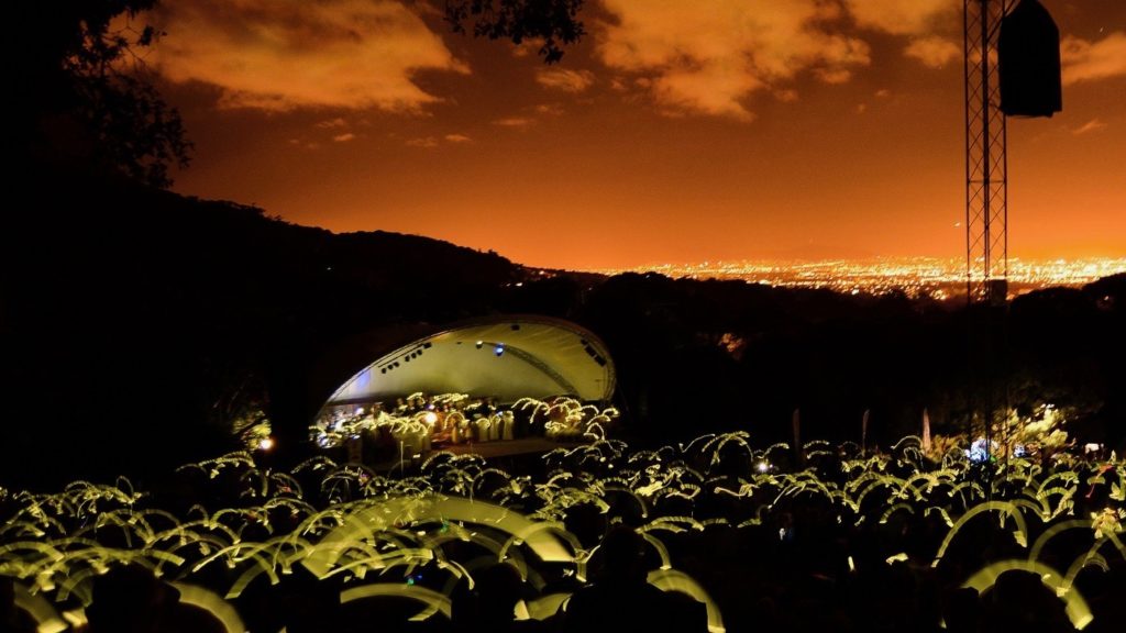 This week marks the start of the Cape Town Carols at Kirstenbosch