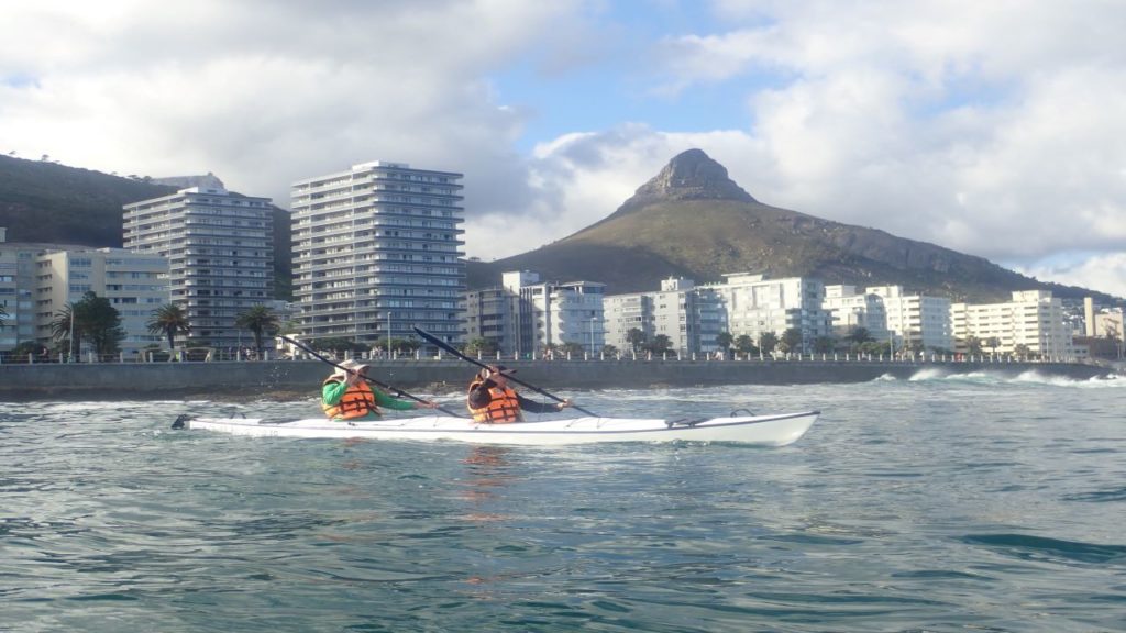 Kayaking with dolphins in Cape Town is a must for all adventure seekers