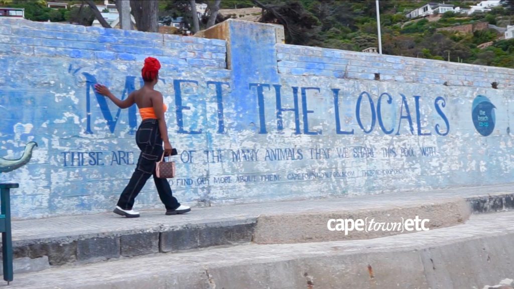 WATCH: Five relaxing walks in Cape Town for the whole family