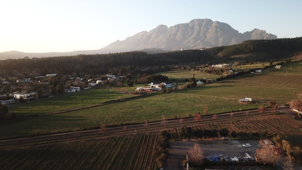 5 things to do in Stellenbosch that isn't wine tasting