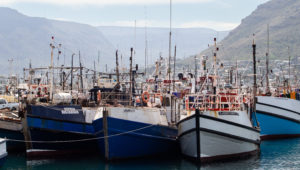 Appeals against commercial fishing rights quotas will only be finalised in October, says the Minister of Forestry, Fisheries and the Environment. Archive photo: Ashraf Hendricks