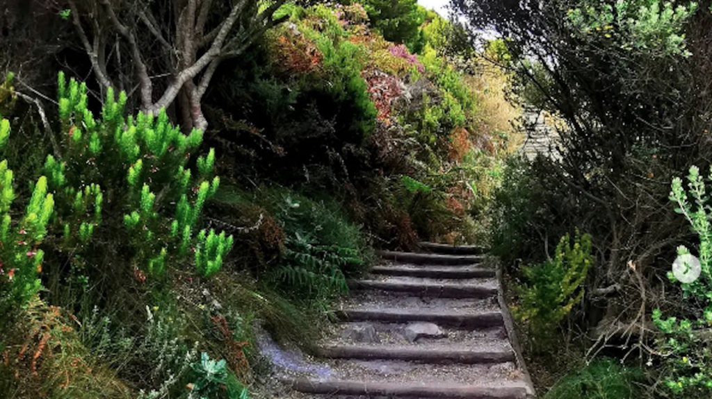 5 of Cape Town's iconic walking trails to get those feet moving