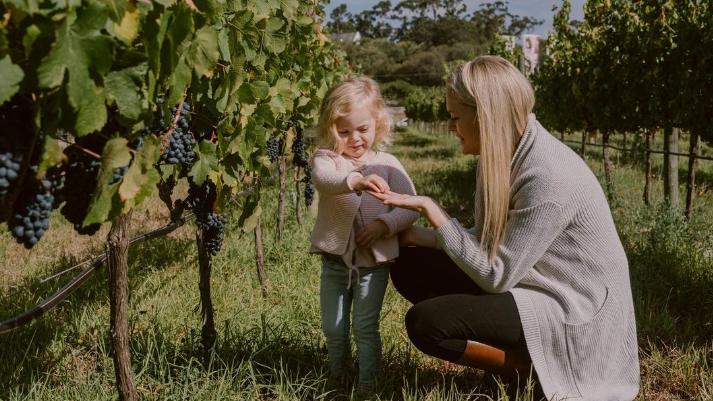 Weekend fun for the whole family in the Cape Winelands