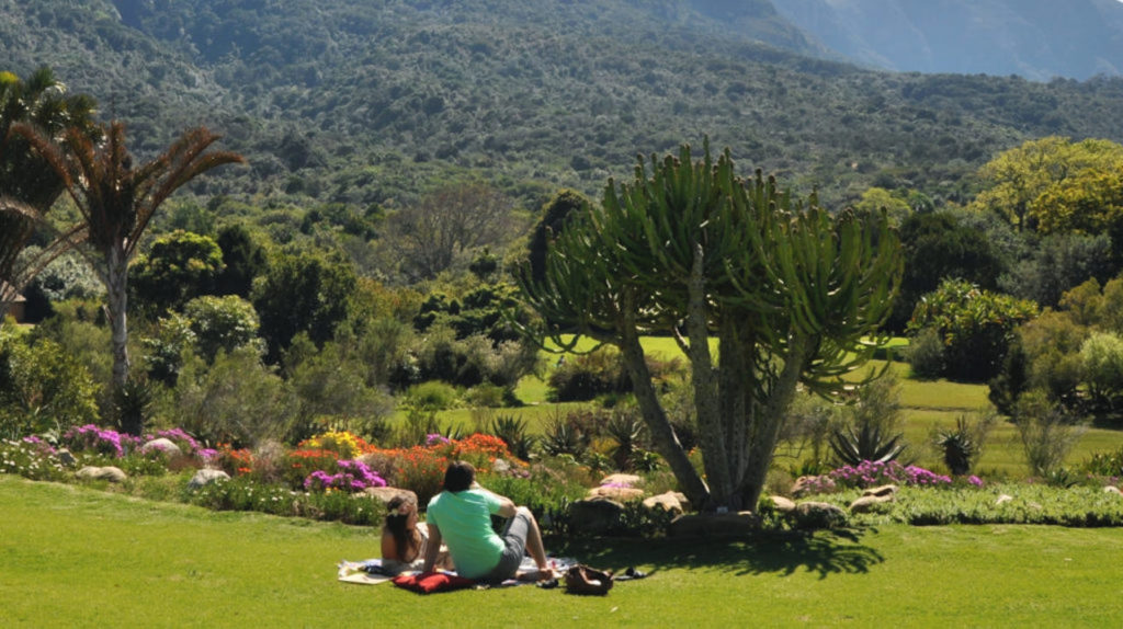 Kirstenbosch National Botanical Garden picnic