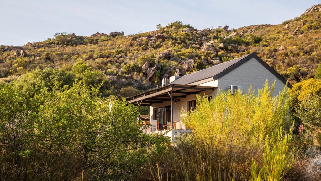 Relax in the midst of mountain scenery at Cederkloof Botanical Retreat