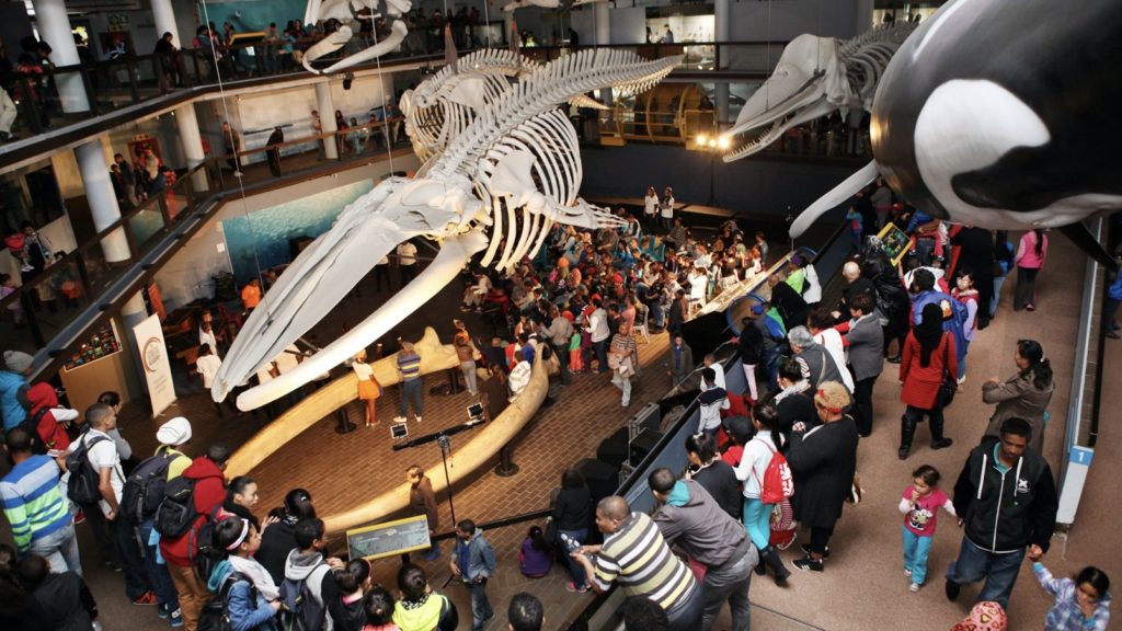 Cape Town museums suitable for an outing with the whole family