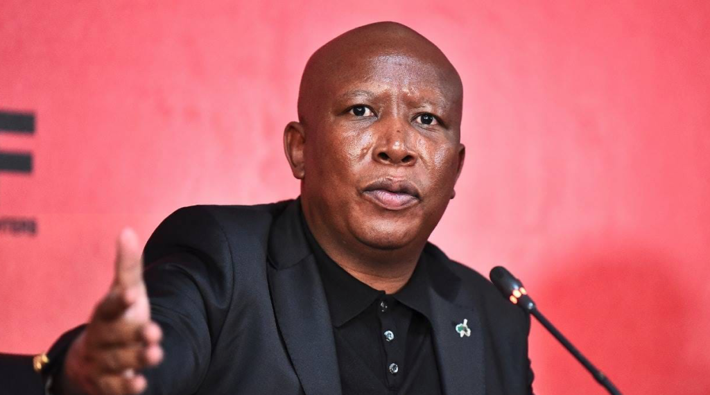 Malema to lead the Andries Tatane clean-up campaign in Gugulethu