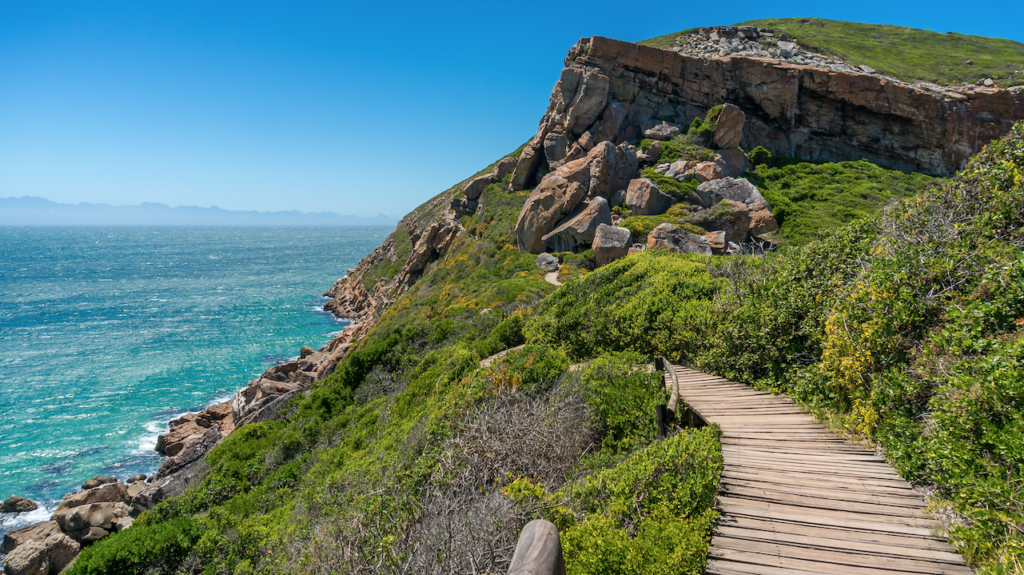 The new Plett Trails app makes access to Garden Route trails easy
