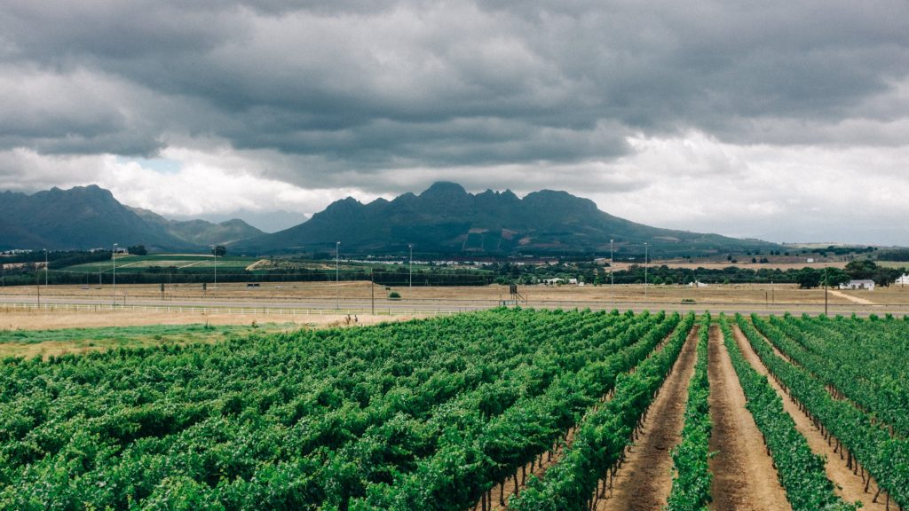 10 things to do in in Stellenbosch: Museums, markets and more