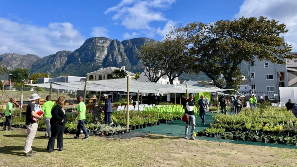 Living Roots' Claremont nursery opens with its Family Day Launch