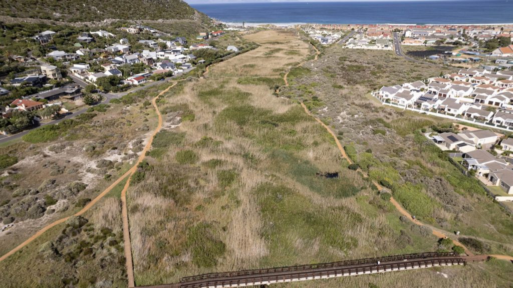 Dredging project to improve biodiversity in Lower Silvermine Wetlands