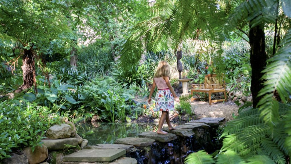 Experience the magic of Tokara's rare plant fair and autumn open garden
