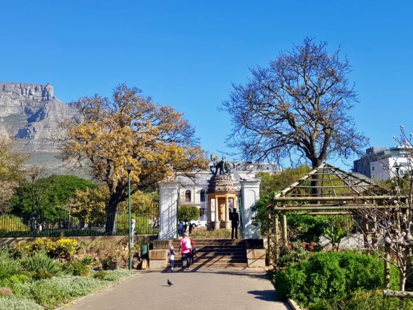 Best Parks And Gardens In Cape Town
