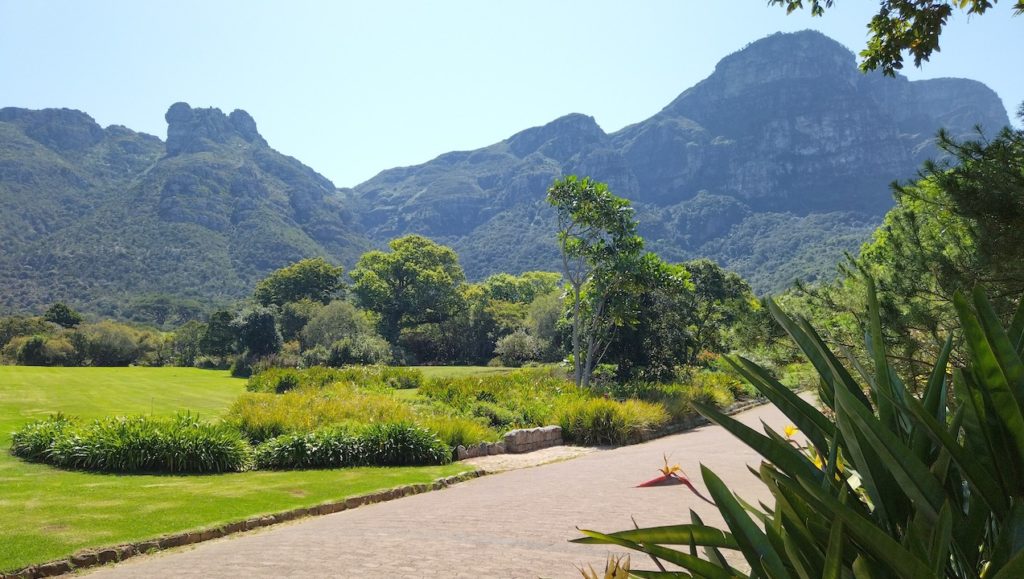 A guide to the best parks and gardens in Cape Town