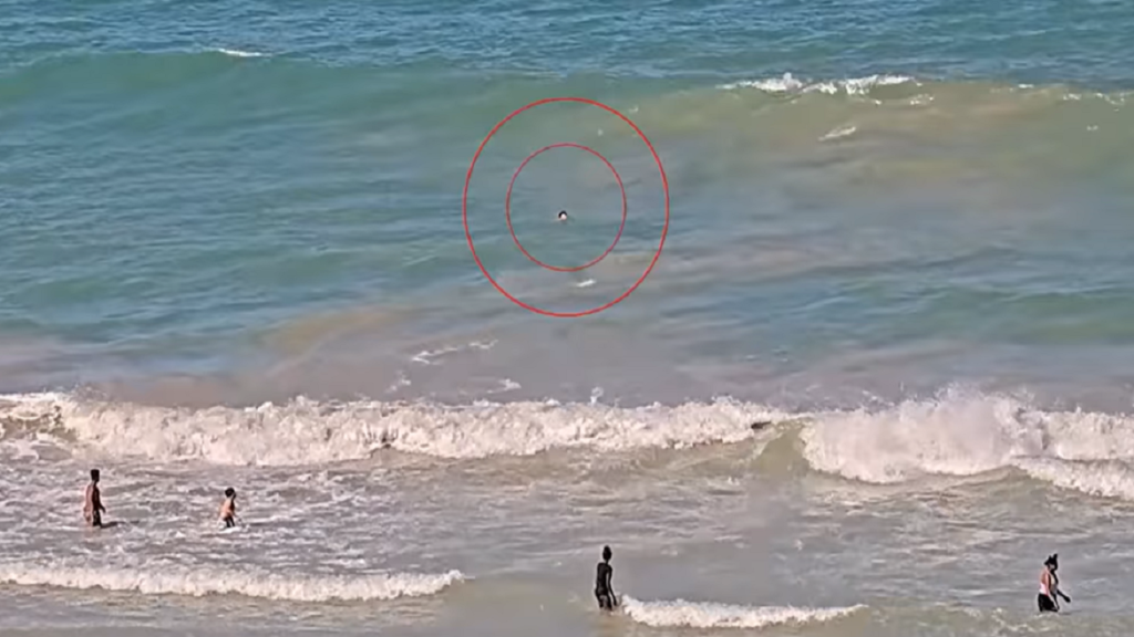 Video: NSRI cameras at Cape Town beach saves boy from drowning